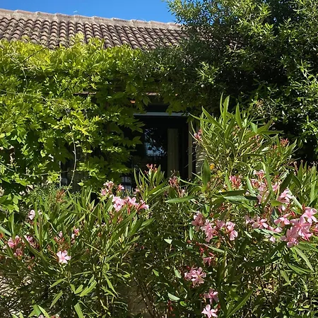 Frühstückspension Maison Reces Floressas