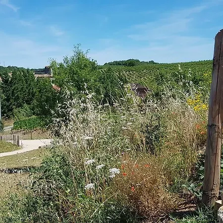 Maison Reces Frühstückspension Floressas