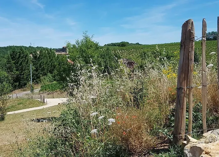 Maison Reces Bed & Breakfast Floressas