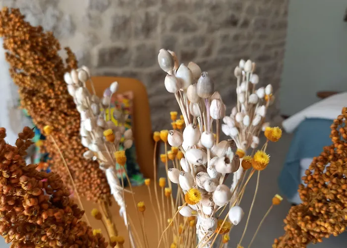 Bed & Breakfast Maison Reces Floressas