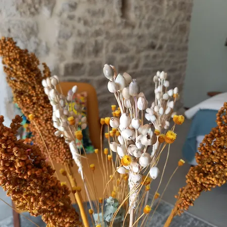 Couette-café Maison Reces Floressas