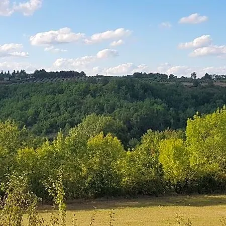 Oda ve Kahvaltı Maison Reces 3*