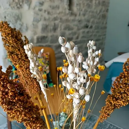 Oda ve Kahvaltı Maison Reces