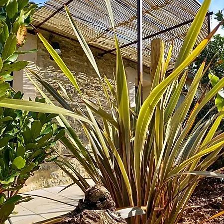 Maison Reces Floressas